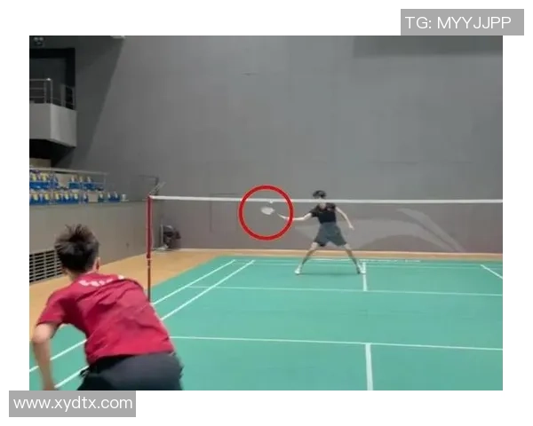 武汉羽毛球队控制打法深度分析与战术解析